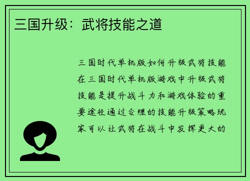三国升级：武将技能之道
