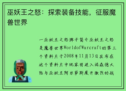 巫妖王之怒：探索装备技能，征服魔兽世界
